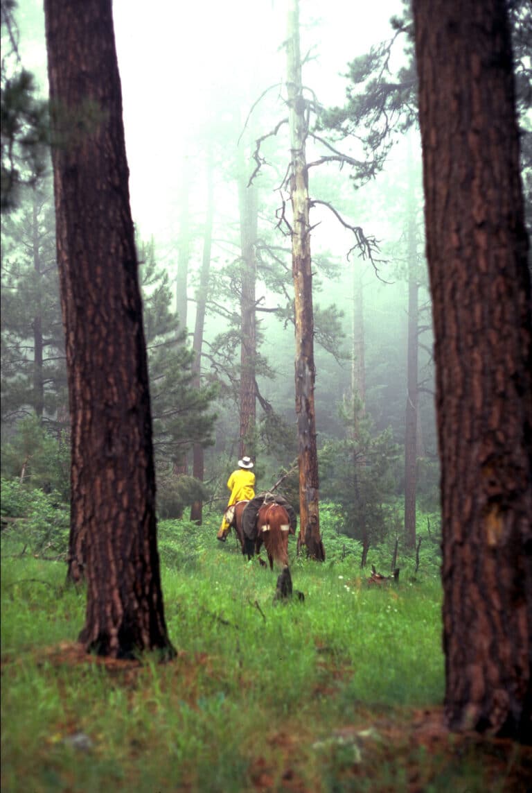 How to Get to Swan Valley, Idaho: Flights, Driving & Packing Tips
