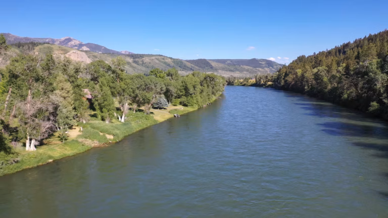 riverdrone