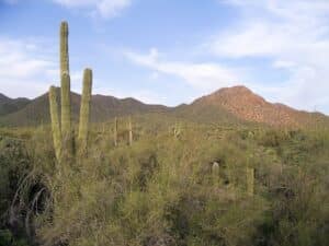 Cave Creek Regional Park