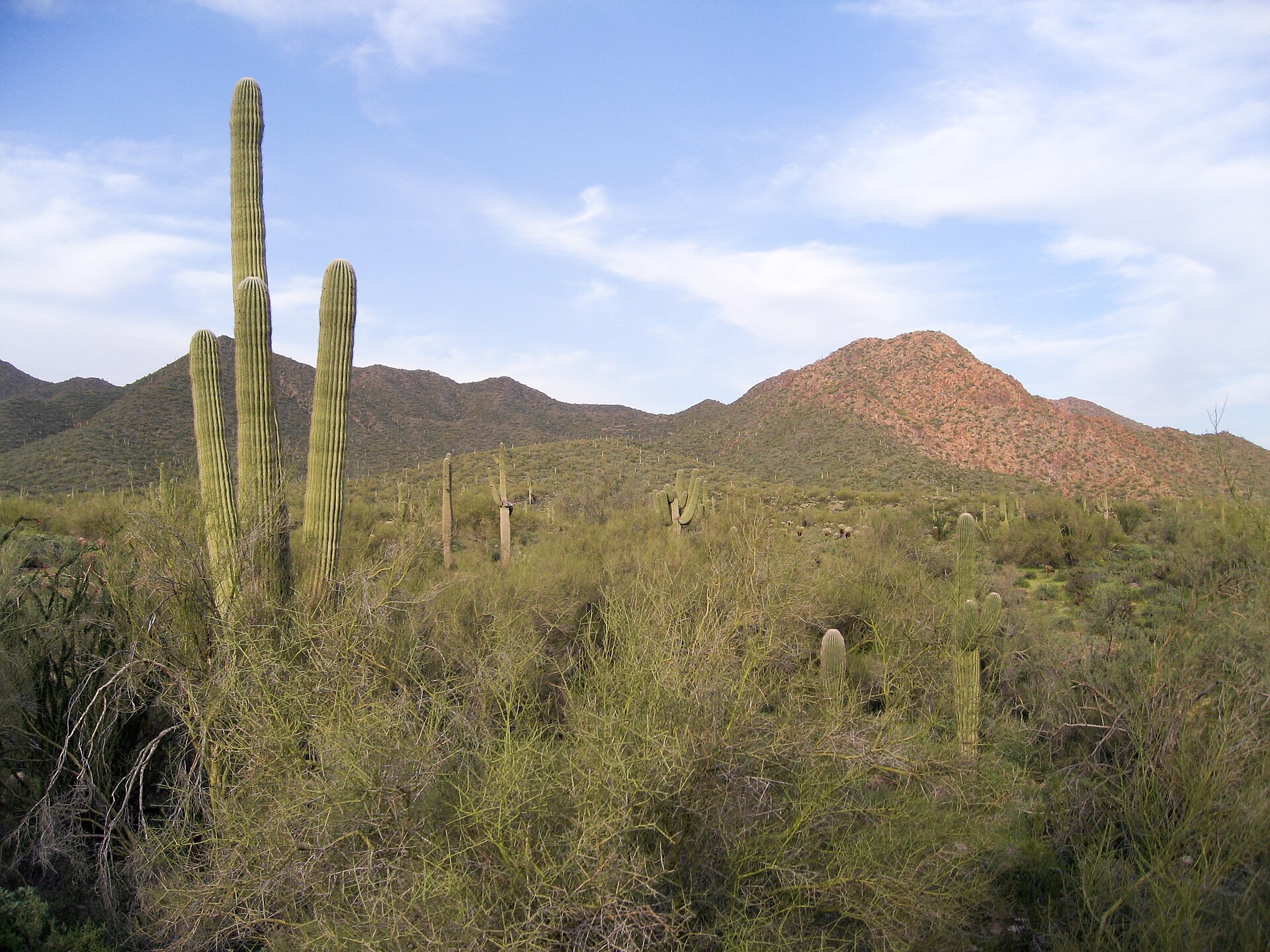 Cave Creek Regional Park