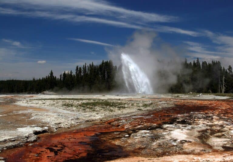 Yellowstone National Park — South Entrance Day Trip