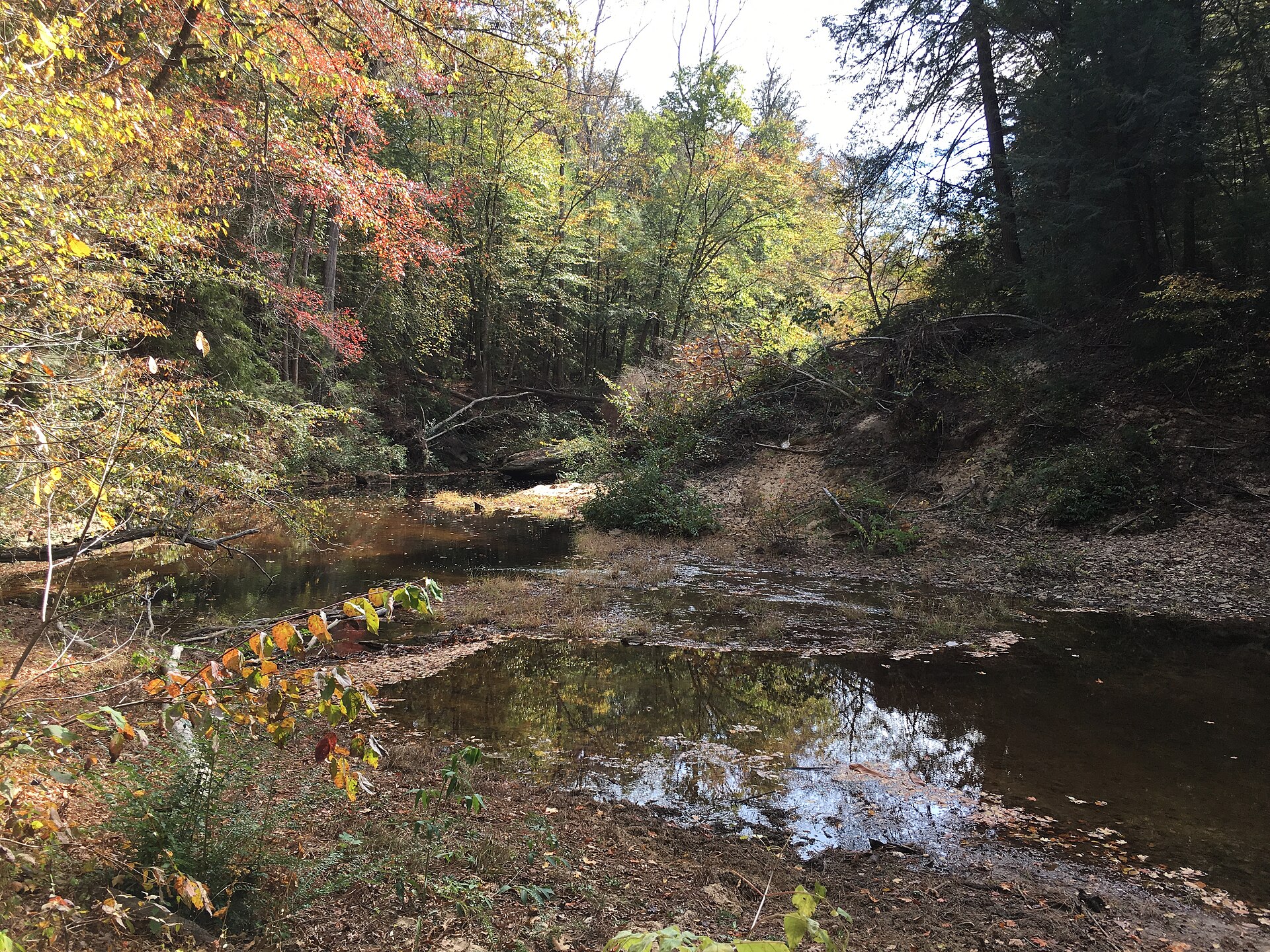 Sipsey Wilderness, Bankhead National Forest
